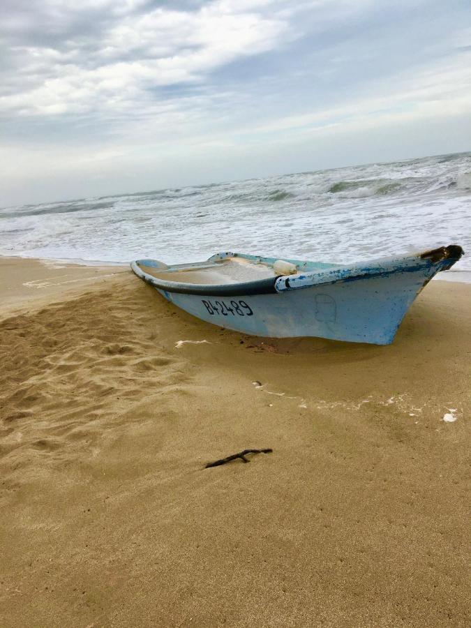 Beach, Wine, Dining, Sports, Summer, Winter Apartment Serignan Ngoại thất bức ảnh